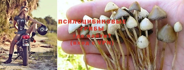 дживик Арсеньев