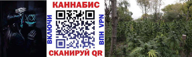 Бошки марихуана сатива  Купить  Казань 